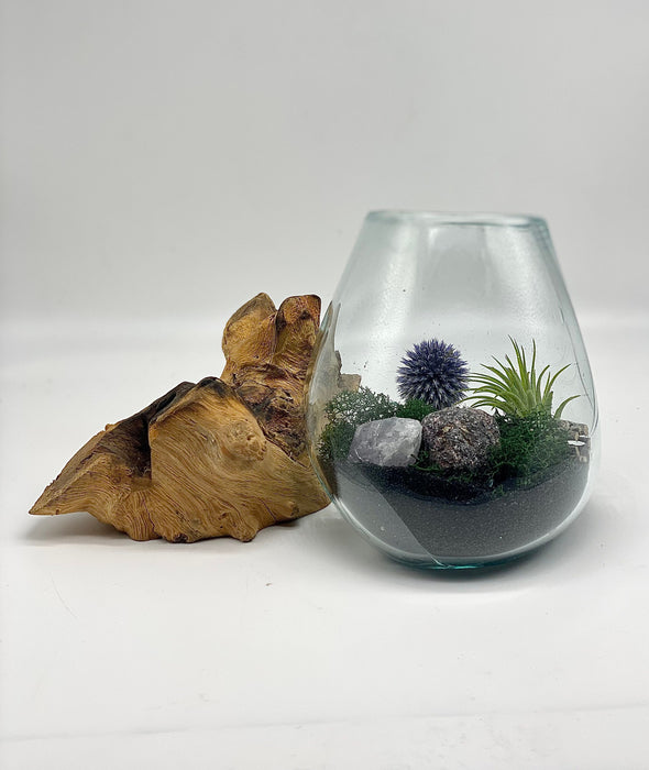 Mystic Forest Air Plant Terrarium - Hand Blown Glass on Gamal Wood with Garnet Quartz, Echinop, and Cholla Wood - 6×6” for Any Occasion