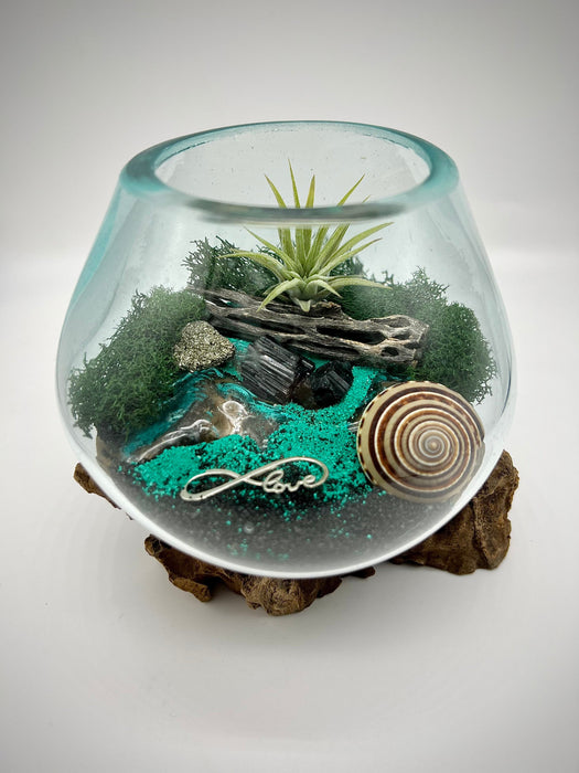 Beachy Air Plant Terrarium Kit, Sea Scape Design with Hand-Blown Glass & Natural Wood Base, Seashell Table Centerpiece, Coastal Home Decor