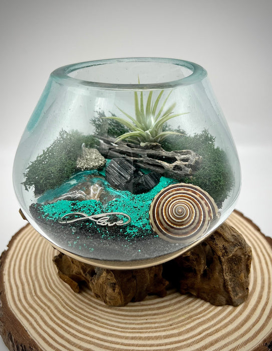 Molted Glass With Wooden Natural, Wooden Glass Decoration, Fish Tank Decor, Mini  Fish Tank, Plant Decoration or Terrariums 