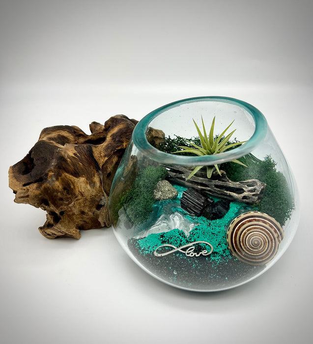 Beachy Air Plant Terrarium Kit, Sea Scape Design with Hand-Blown Glass & Natural Wood Base, Seashell Table Centerpiece, Coastal Home Decor