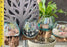 Terrario de planta de aire de cristal de amatista genuina, kit de terrario de bricolaje de vidrio soplado a mano, diseño de paisaje marino con coral, pieza central de planta de vidrio