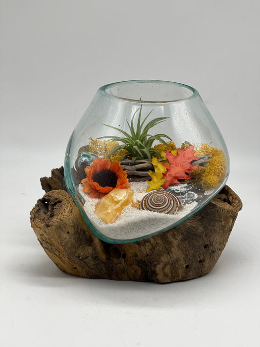 Create a Cozy and Chic Living Space with Our Autumn Air Plant Terrarium Kit - Hand-Blown Glass, 6x6", Perfect for Small Space Living