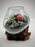 Air Plant Beach Terrarium with Dried Mini Rose in Blown Glass - Precious Moments Inspired, 6x6 Inches - Perfect for Sustainable Home Decor
