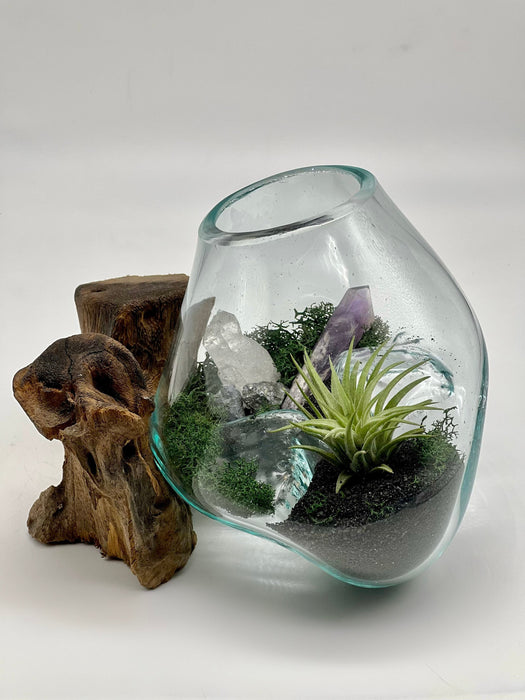 Nature Home Decor with Genuine Purple Amethyst Air Plant Terrarium, Hand Blown Glass, 6x6”, All Occasion Gift