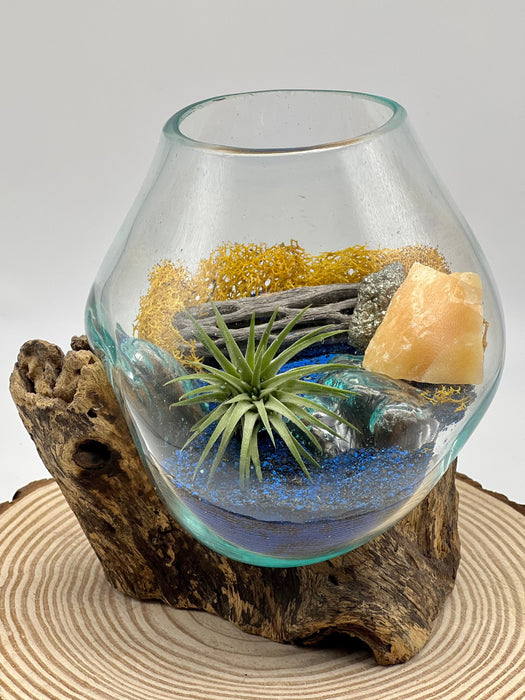 Golden Blue Air Plant Terrarium, Hand Blown Glass DIY Terrarium Kit, Sea Scape, Glass Plant Centerpiece Nature Decor
