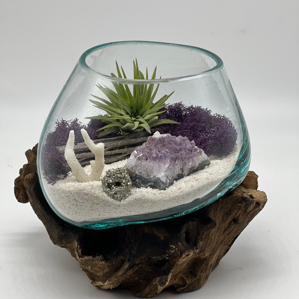 amethyst crystal air plant Amethyst Crystal Air Plant Terrarium Kit – Hand Blown Glass, Beach Dec — Port Dr