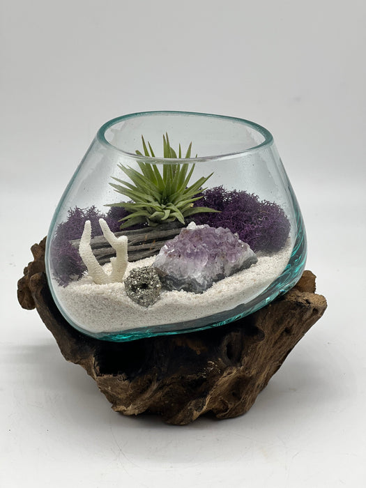 Genuine Amethyst Crystal Air Plant Terrarium, Hand Blown Glass DIY Terrarium Kit, Seascape Design with Coral, Glass Plant Centerpiece