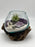 Genuine Crystal Air Plant Terrarium, Hand Blown Glass DIY Terrarium Kit, Seascape Design with Coral, Glass Plant Centerpiece