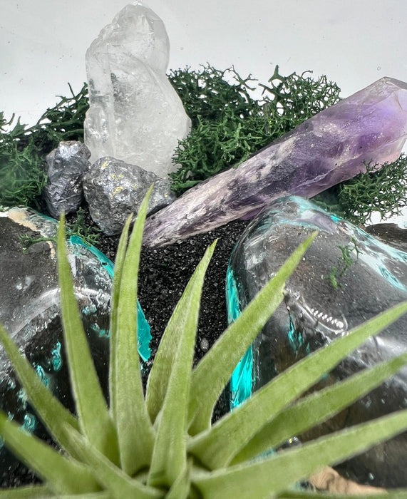 Nature Home Decor with Genuine Purple Amethyst Air Plant Terrarium, Hand Blown Glass, 6x6”, All Occasion Gift