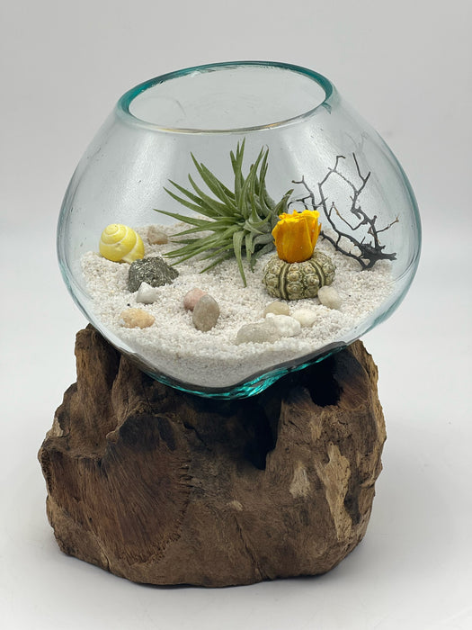 Tiny Terrarium Sea Life Air Plant Terrarium + Preserved Miniature Yellow Rose, Blown Glass Seascape Decor, 5x5” inches