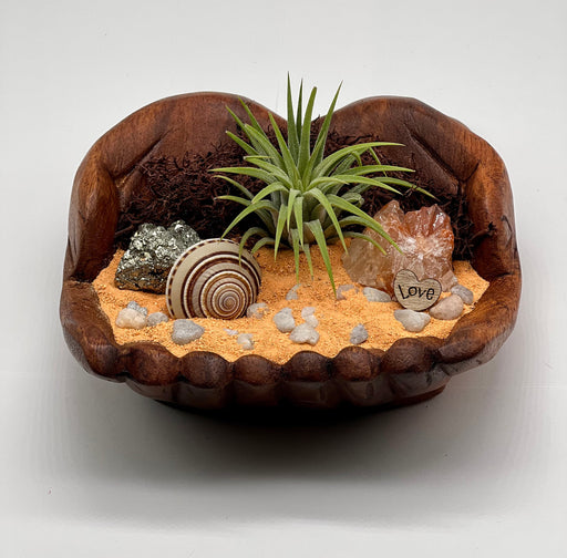 Beachy Air Plant Holder - Orange Pebble Beach with Pyrite Gold, Shell, and Red Calcite!