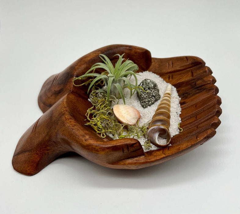 Eco-Friendly Wood Beach Decor: Earth Day Gift & Air Plant DIY Kit with Spiral Shell and Hand-Carved Wooden Hands Display
