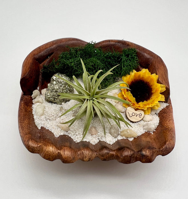 Sun Flower Air Plant DIY Kit - Beach Decor, Hand Carved Wood Hands, Spring Sunshine Vibe, Unique Gift, Nature-Inspired Home Accent