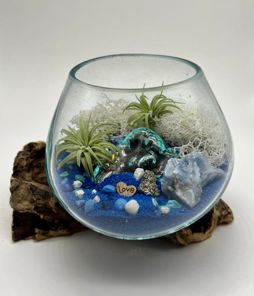 Create Your Own Mini Garden with Our Blown Glass Air Plant 5x5" Tiny Terrarium DIY Kit - Craft a Beautiful and Low-Maintenance Mini Garden