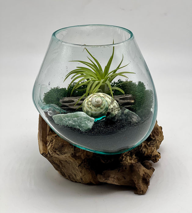 Blown Glass Air Plant Terrarium – Beach Vibes with Shell, Tourmaline Crystal, Black Sand, and Relaxing Coastal Decor