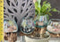 Terrario de vidrio soplado con planta de aire - Vibraciones de playa - "Ciudad esmeralda" Aproximadamente 6x6 "pulgadas
